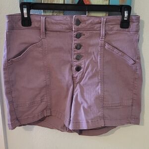 Pistola High Waist Mauve Shorts
